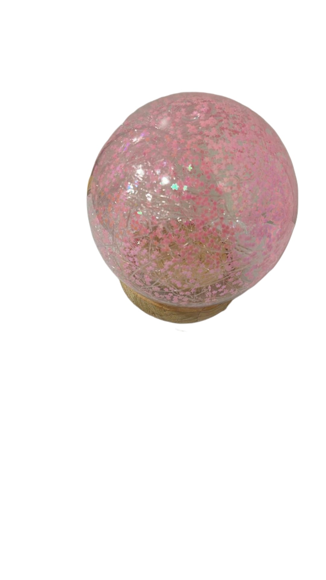 Snow Globes & Globes