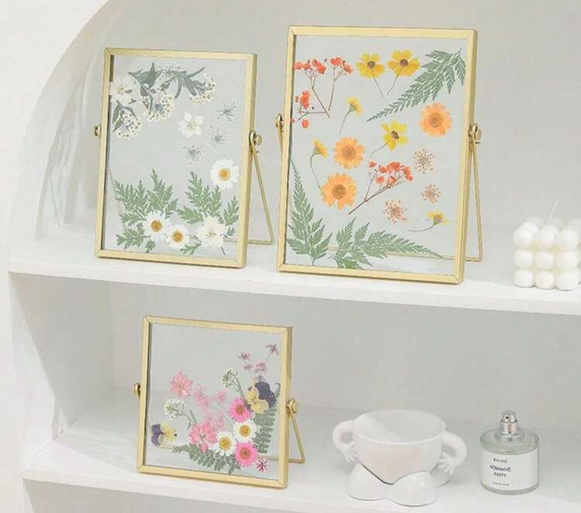 Frames & Stands