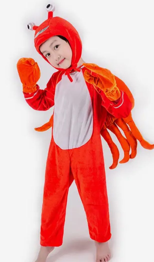 Costumes And Aprons