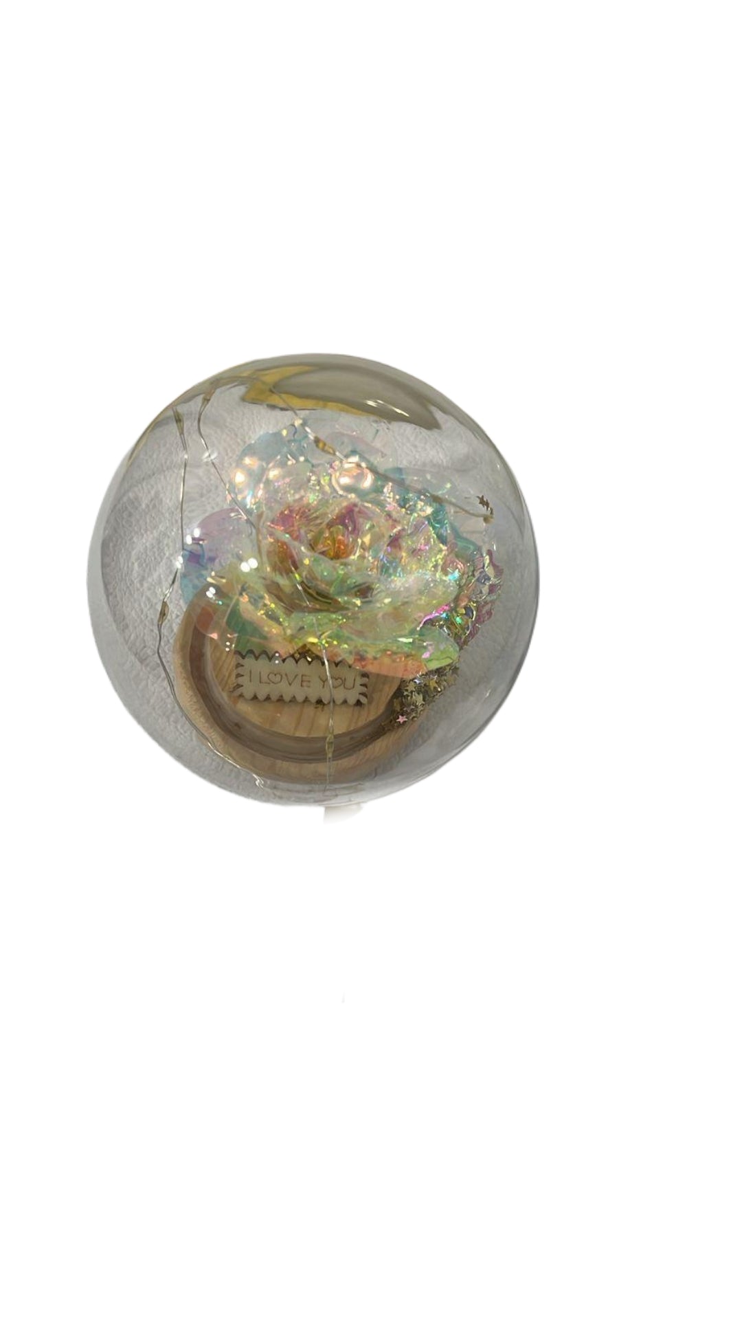 Snow Globes & Globes