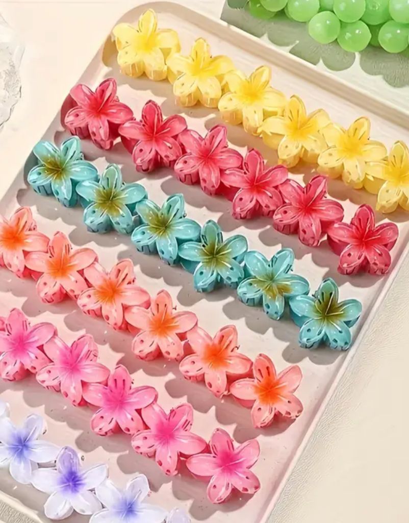 Hair Brush & Hair pin