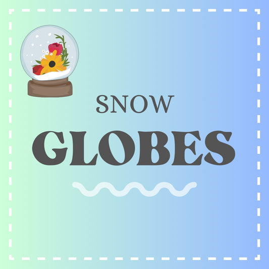 Snow Globes & Globes